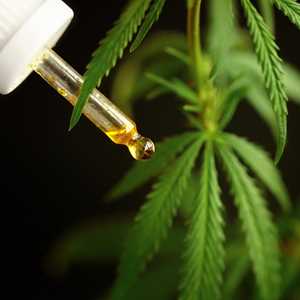 Naturel sante, un expert du cbd
