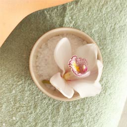 Hypnose, Sexologie, thérapies Lyon , un expert en massage